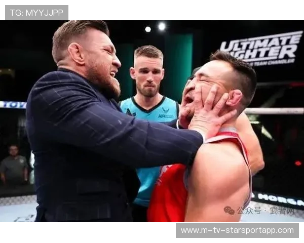 UFC重击声像鞭炮一样响，震撼人心的打斗盛宴