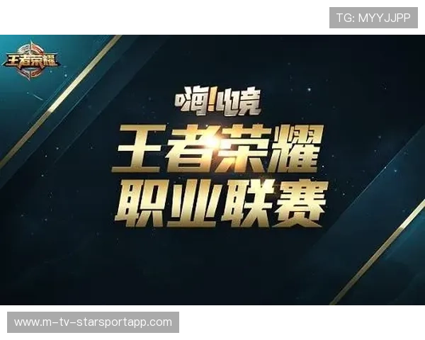 职业联赛的公平竞技维护保障体系